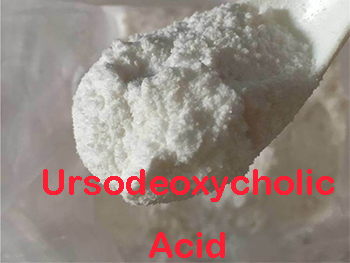 Does Ursodeoxycholic Acid Cause Weight Loss?
